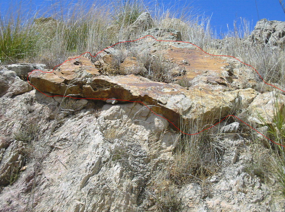 Faglia